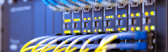 Netzwerkkabel sind an einen Server angeschlossen.