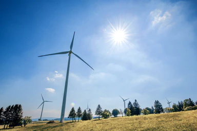 Windkraftanlagen inmitten der Natur.