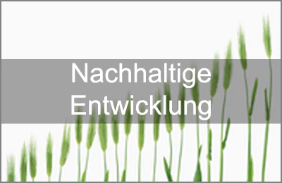 Umweltschutz: Sieben Schritte zu einer umweltfreundlichen Produktion und verbesserten Ökobilanz.