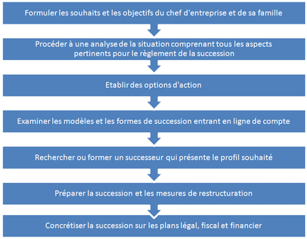 Schéma. Décrit les différentes phases pour réussir la succession d'une entreprise
