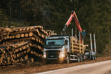 Un camion forestier charge des troncs d’arbres.