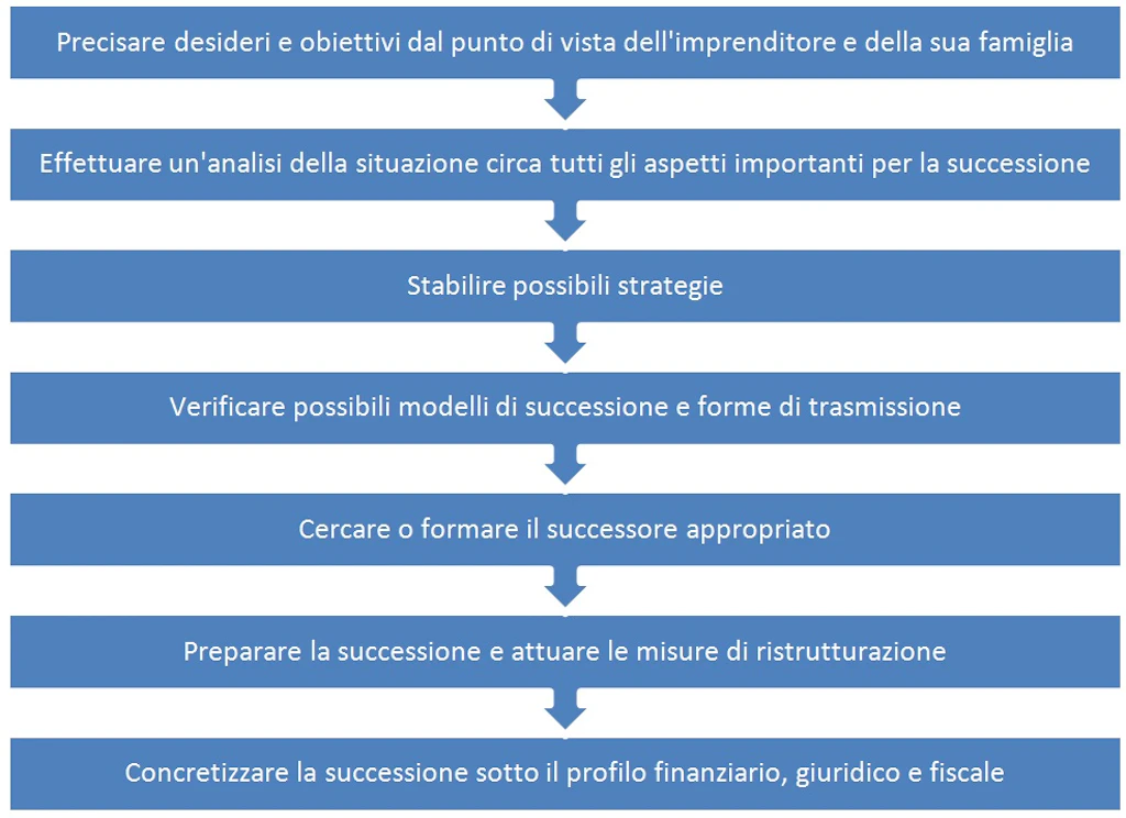 Schema: indica i vari passaggi da svolgere nel caso in cui la successione avvenga all'esterno dell'ambito famigliare. Identificare gli obiettivi dell'imprenditore, analizzare la situazione dell'impresa, stabilire strategie e verificare modelli di trasmissione, cercare o formare il successore, preparare la successione e infine concretizzarla dal punto di vista amministrativo.