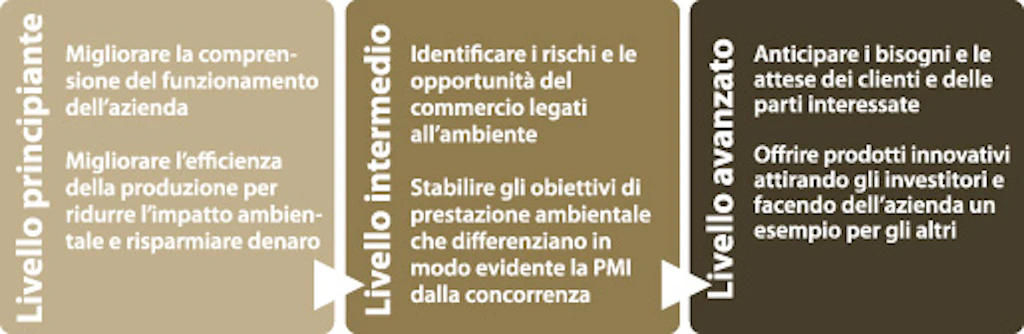 Schema: illustra i temi di discussione del team incaricato del miglioramento della sostenibilità dell'impresa. Tra le discussioni di base abbiamo il miglioramento dell'efficienza produttiva per ridurre l'impatto, si possono in seguito stabilire gli obiettivi ambientali che differenziano l'azienda dalla concorrenza e ad un livello più avanzato anticipare le attese dei clienti in questo senso.